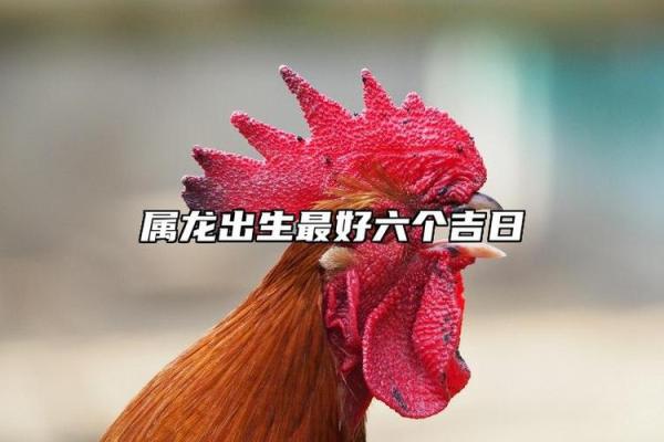 属龙出生最好六个吉日 属龙的出生吉日