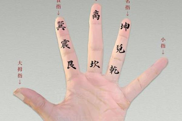 手指算命,手指掐算算命图解