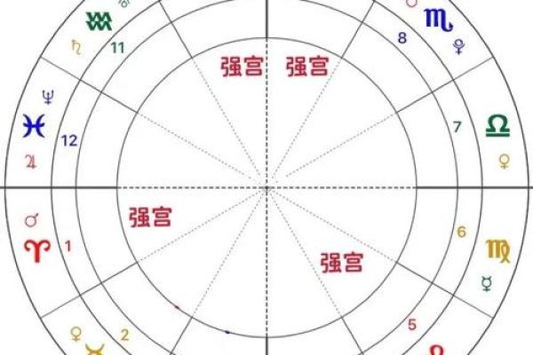 紫薇斗数星身宫