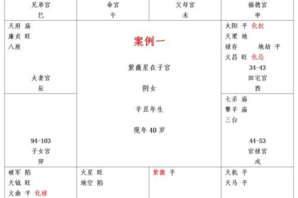 紫薇斗数星身宫