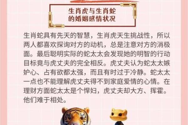 1962年属虎人和什么属相婚配好,1962年属虎的人婚姻配对详解