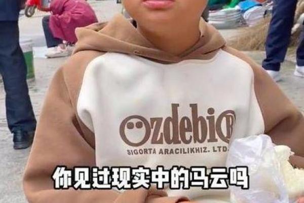 马云的紫薇斗数