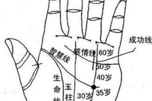 手相算命,女人手相成功线图解