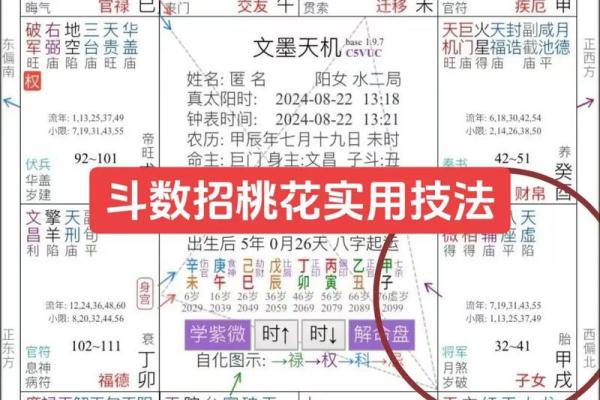 紫薇斗数老年看