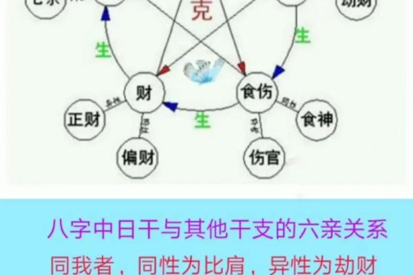八字四阴四阳