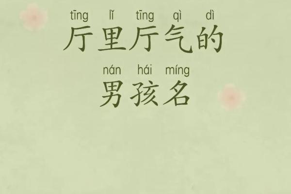 5月份出生的属蛇男孩该怎样取名字姓名