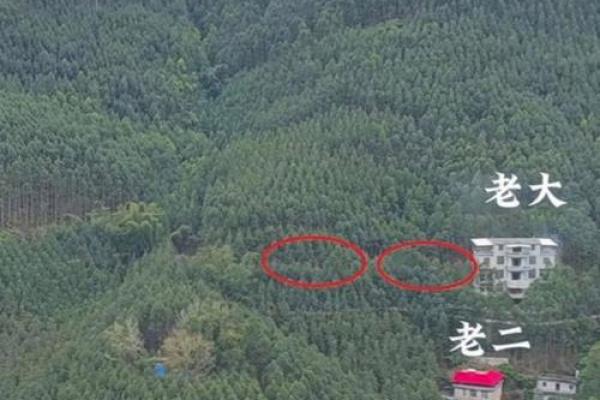 房子中间带山风水好不好