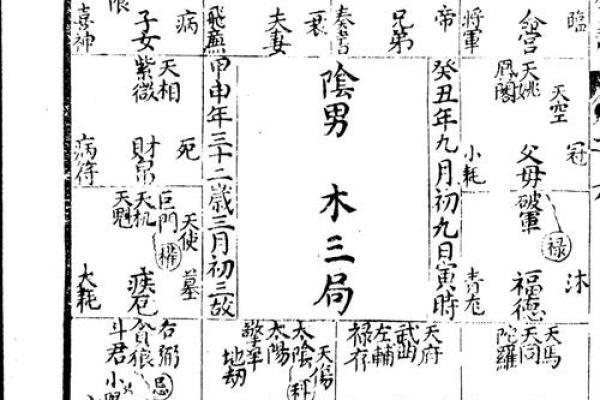 紫薇斗数全书简体
