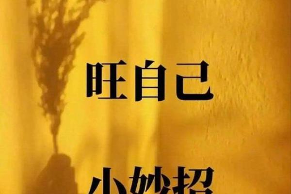 聚人气的风水 聚人气的风水学