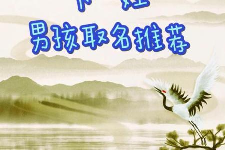 属鸡子时出生的男孩该如何起名，宜用什么字姓名