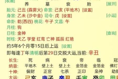 男人内心最爱的女命八字