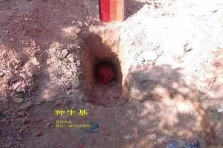 种生基之吉日
