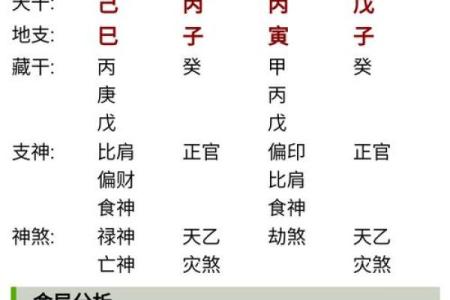 什么样的八字适合当主播