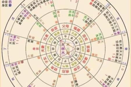 紫薇斗球数排盘