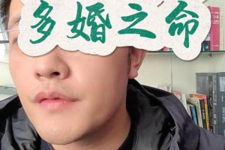 倪海厦紫薇斗数化忌结婚
