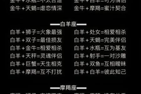 十二星座情侣衣，百变搭配大全