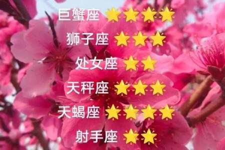 今天什么星座