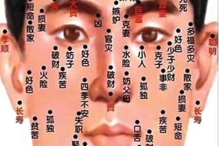 胸部痣相图解算命