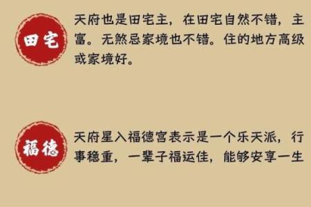紫微斗数看事业／学业