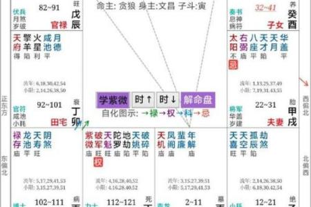 紫微斗数之夫妻宫四化飞星,是什么意思？
