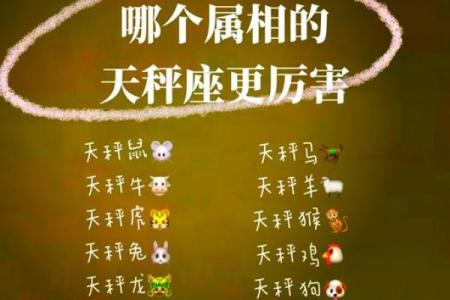 属蛇的十二星座