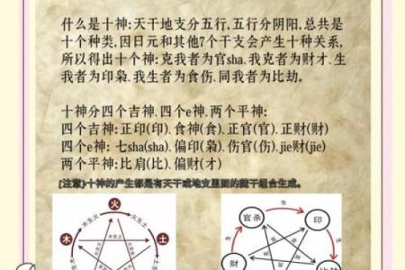 学习八字十神，轻松掌握八字命理！