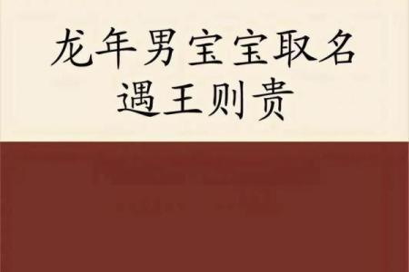 5月份出生的属龙男孩适合起什么名字姓名