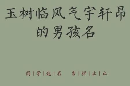 2019年3月17号午时出生的男孩应该起什么样的名字姓名
