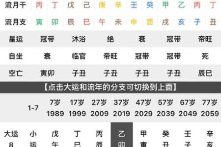 伤官生财的八字命例
