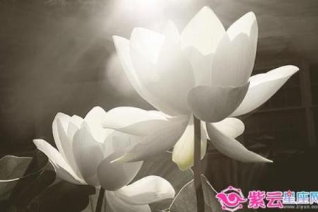 12星座妈妈教子之方