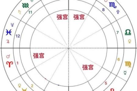 紫薇斗数星身宫