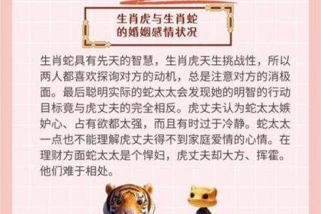 1962年属虎人和什么属相婚配好,1962年属虎的人婚姻配对详解