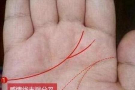 风水解读感情线断开上下两条好不好