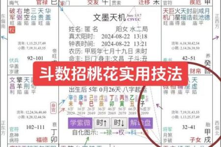 紫薇斗数老年看