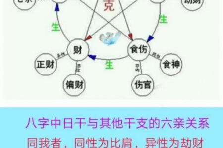 八字四阴四阳