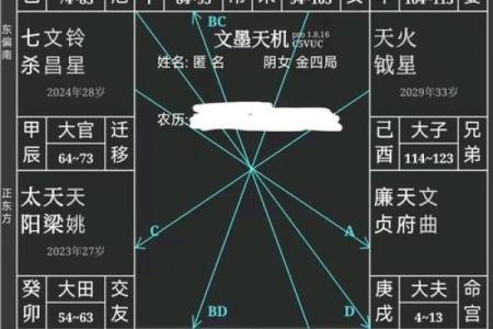 紫薇星在申宫