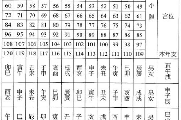 紫薇斗数安大限诀