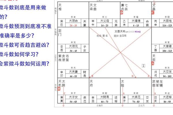 紫薇斗数流年七杀在寅
