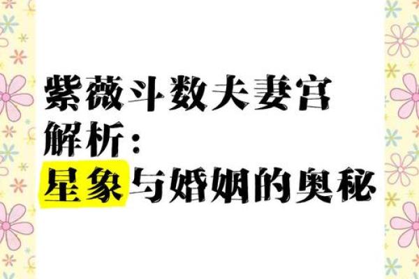 夫妻宫没有紫薇斗数
