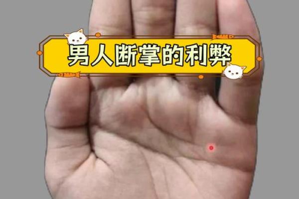 男人断掌手纹算命图解