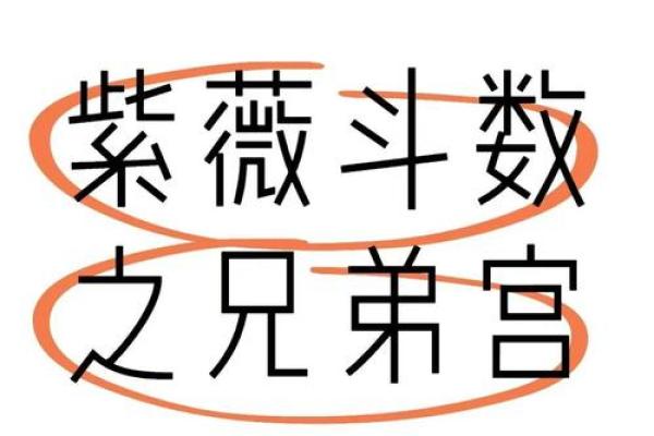 紫薇斗数兄弟代表