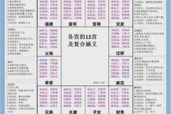 紫薇斗数兄弟代表