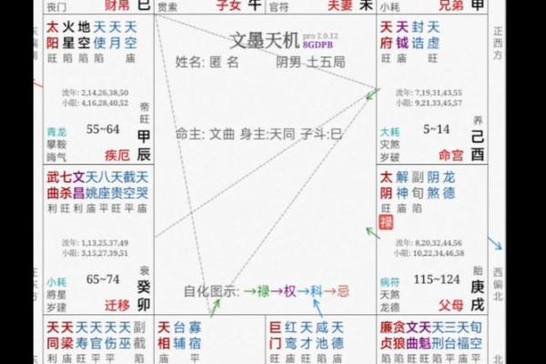 庄氏紫薇斗数录音