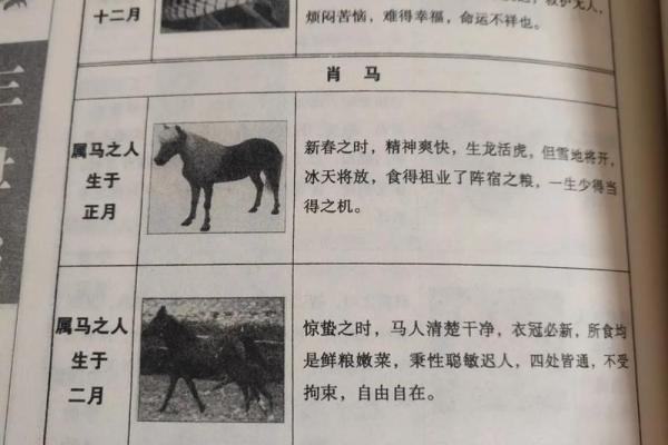 三世书测姻缘星座网 三世书查姻缘准不准？