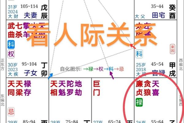 紫薇斗数看驾照