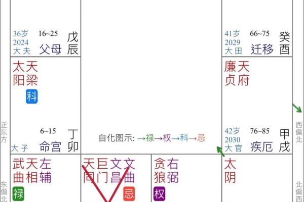 飞星紫微斗数原旨