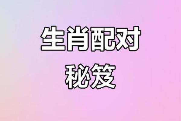 注定成为敌人的属相配对
