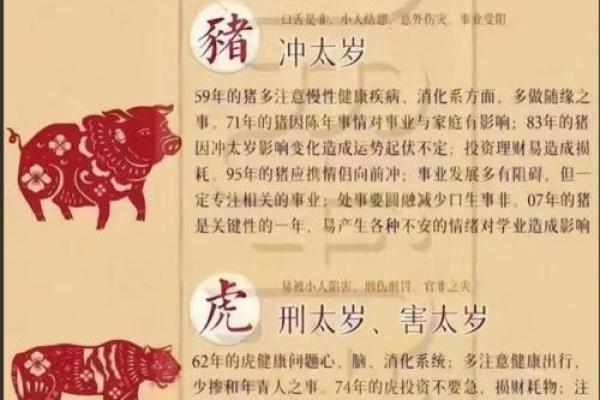 属猪人必知的方位禁忌