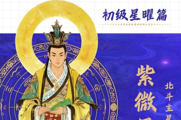 紫薇斗数紫府