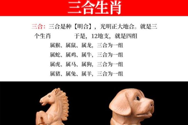 99年属什么今年多大 生肖配对